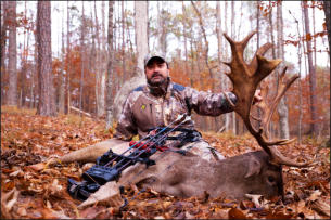 Fallow Buck Hunting
